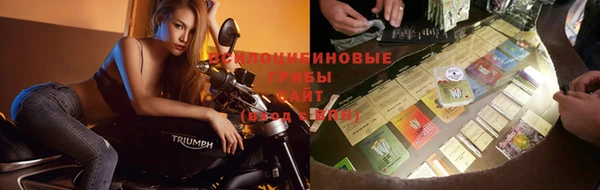 прущие крисы Елабуга